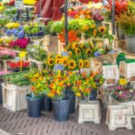 Landgoed fair